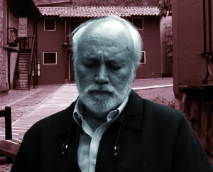 FERMIN DEL PINO-DIAZ